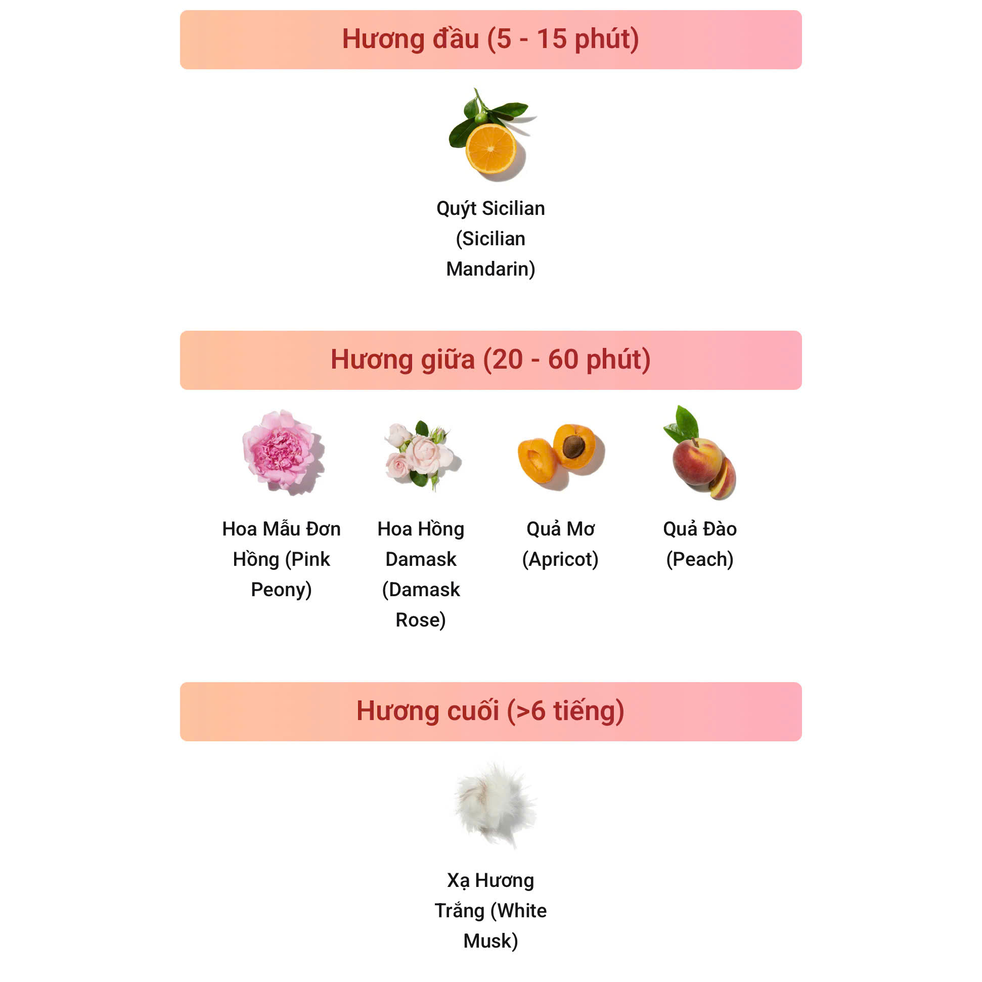 z6915817662979_9b361cea0ebf72f4652db4d84007e544