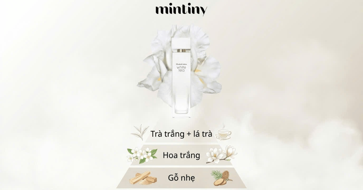 Tầng hương của nước hoa Elizabeth Arden White Tea EDT