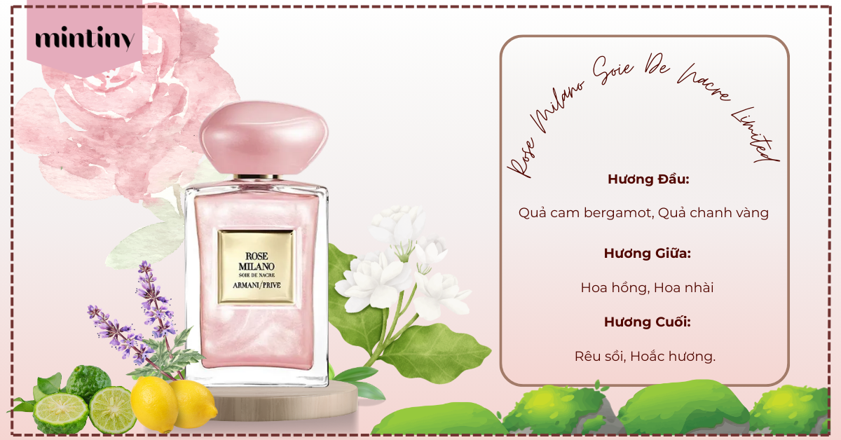 Các Tầng Hương Cung Hoàng Đạo Cung Bảo Bình Rose Milano Soie De Nacre