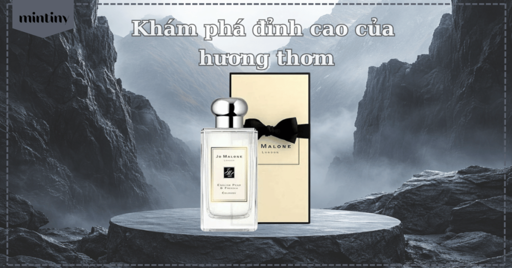 Khám phá đỉnh cao của hương thơm